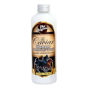 CAVIAR SHAMPO - CAVIAR SHAMPOO - SHAMPO KUDA